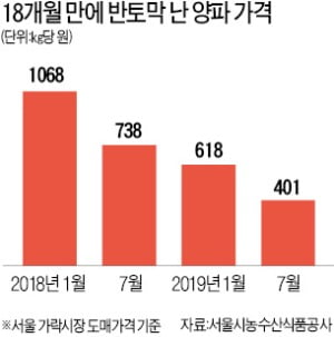 마늘·양파값 폭락…협회 만들어 단체행동 나서는 농민들