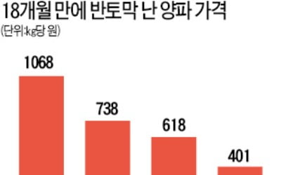 마늘·양파값 폭락…협회 만들어 단체행동 나서는 농민들