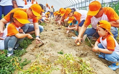 [김과장 & 이대리] 한화건설 '임직원 가족 봉사활동'