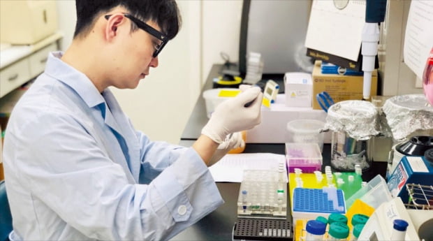 한국생명공학연구원 연구원이 플라스틱을 분해하는 미생물을 배양하고 있다.  /한국생명공학연구원 제공 