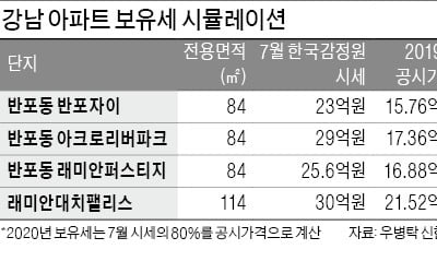 높아지는 '강남 보유세'…똘똘한 한 채도 年1000만원 넘을 듯