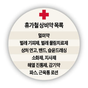 신나는 여름 휴가…캐리어에 담을 상비약 챙겼나요?