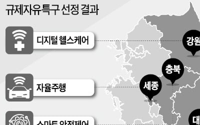 '규제자유특구' 출범…혁신기술 58건 풀린다