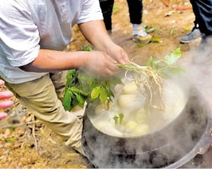 평창 산양삼 백숙요리  