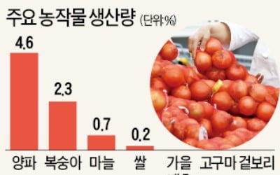 끼니로 먹던 쌀·고구마 지고, 음식 맛 내는 양파·마늘 뜬다