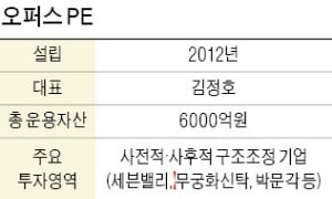 국민연금 등서 3000억원 출자받은 기업구조조정 부문의 '새로운 강자'