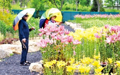 파워블로거·여행작가·여행전문기자도 경북 '포레스트 힐링투어'에 반했다