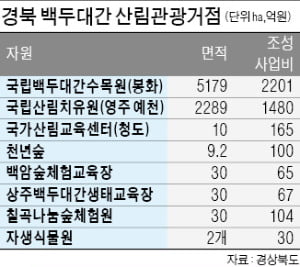 파워블로거·여행작가·여행전문기자도 경북 '포레스트 힐링투어'에 반했다