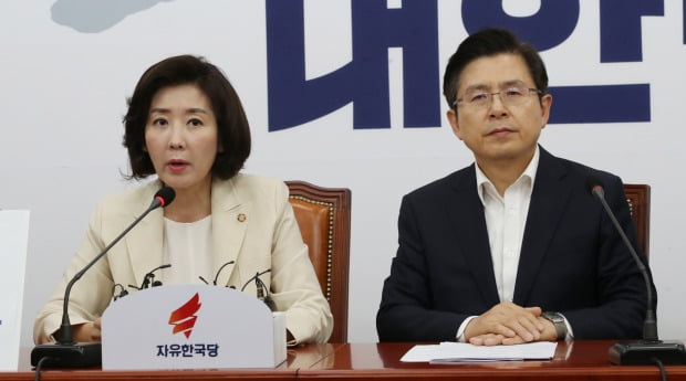 발언하는 나경원 자유한국당 원내대표  /연합뉴스