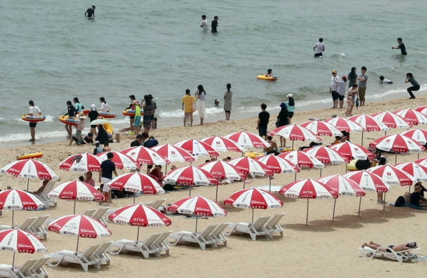 <YONHAP PHOTO-2241> 반갑다 여름 해운대 파라솔     (부산=연합뉴스) 조정호 기자 = 초여름 날씨를 보인 1일 부산 해운대해수욕장에 파라솔이 등장한 가운데  피서객들이 해변에서 더위를 식히고 있다. 이날 문을 연 부산지역 3개(해운대·송정·송도) 해수욕장은 8월 31일까지 운영된다. 2019.6.1     ccho@yna.co.kr/2019-06-01 14:40:58/ <저작권자 ⓒ 1980-2019 ㈜연합뉴스. 무단 전재 재배포 금지.>