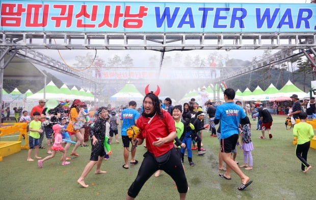 평창 더위사냥축제