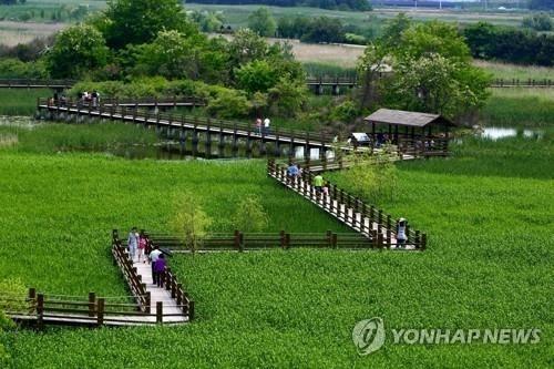 안산시 갈대습지 개방시간 연장에 환경단체 반발