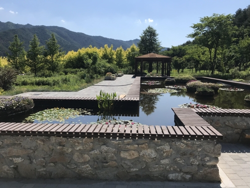 "세계 최대 수련 보러오세요"…백두대간수목원 수생식물원 조성