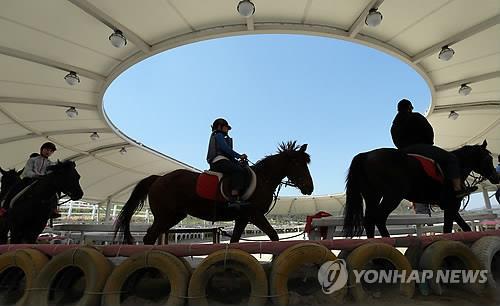 익산에 3개 마장·VR 체험관 갖춘 공공승마장 내년 착공