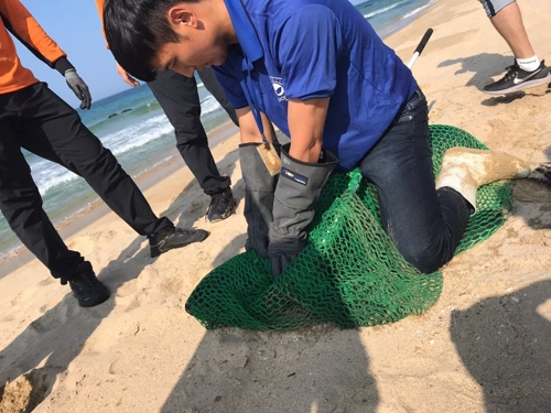 "인간이 원망스럽다" 해양쓰레기에 목 걸린 북방 물개 발견