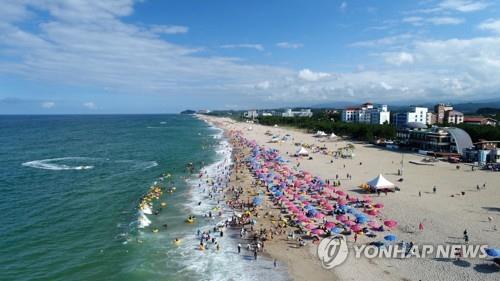 강원 동해안 해수욕장 수질 기준 적합 '청정'…물놀이 안심