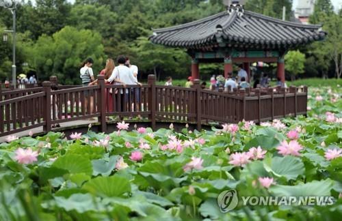 [#꿀잼여행] 호남권: "마음마저 씻긴다"…피톤치드 광양 백운산 치유의 숲