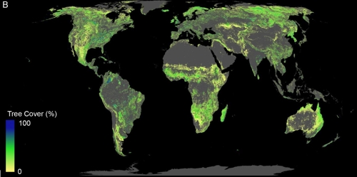 미국 크기 900만㎢에 1조 그루 나무심어 지구온난화 대처 가능