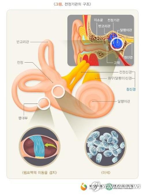 "청력 잃는 '베토벤 생쥐', 첨단 유전자 가위로 치료 성공"