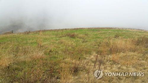 산림복원사업 체계적으로 추진한다…산림자원법 시행령 개정