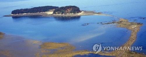 [#꿀잼여행] 충청권: 달콤 고소 알싸한 맛에 건강도 챙기는 양파·마늘 축제