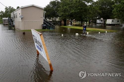 美 열대성폭풍 세력 약화…폭우로 불어난 물에 뱀·악어 경보