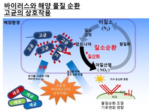 해양고세균 감염시키는 바이러스 발견…"기후변화 예측에 도움"