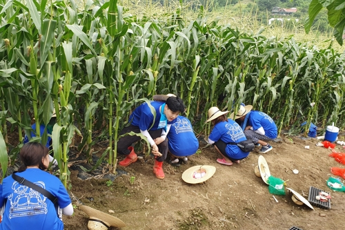 한성대 학생 300여명, 충주 8개면서 '농활' 구슬땀