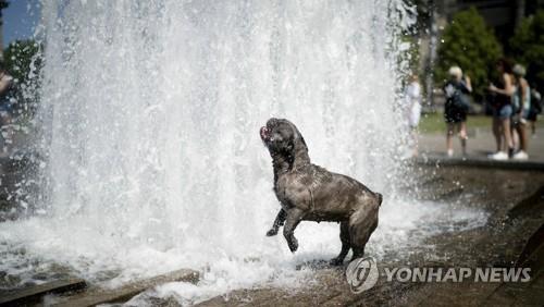 북극지방 21℃·가뭄·산불…7월 무더위, 사상 최고로 향한다