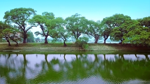 막 찍어도 화보…경북 '인생사진 명소' 8곳