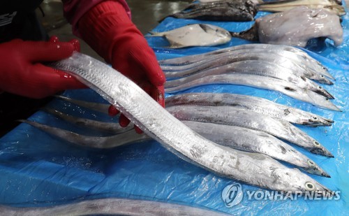 [알쏭달쏭 바다세상](21) 알 지키느라 단식도 불사하는 먹방 본좌