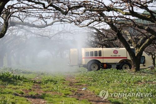 충북 과수화상병 무더위로 소강 국면…나흘째 의심 신고 없어