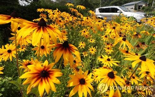 포항 올해 첫 열대야…대구·경북 폭염주의보