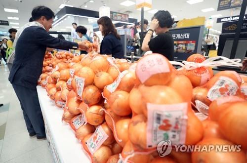 시름 깊어지는 양파 농가…도매가격 올해 들어 최저 기록