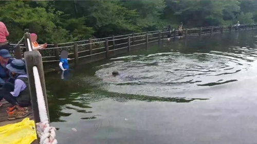 한라산 사라오름 산정호수서 수영한 몰지각한 탐방객