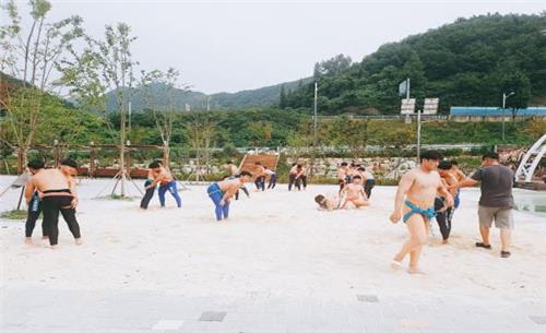 김홍도 씨름도 산실 괴산 연풍 씨름 전지훈련 장소로 인기 | 한국경제