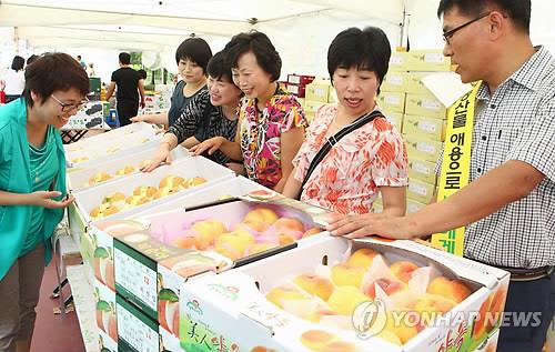 '100년 전통 전주 복숭아'…종합경기장서 25∼26일 직거래