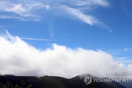 정선 함백산 만항재 '낮엔 꽃 세상·밤은 별천지'