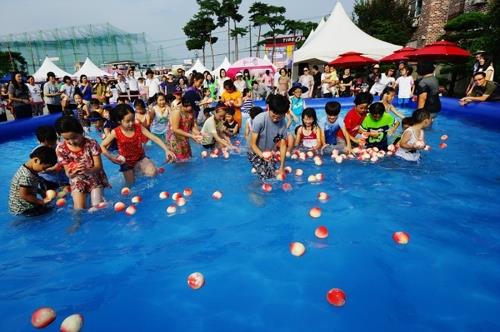 '복숭아 참맛 느껴요' 세종 조치원복숭아 축제 8월 3∼4일 개최