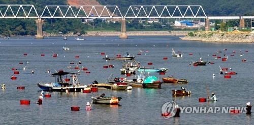 "황금재첩을 잡아라"…알프스하동 섬진강문화 재첩축제 개막