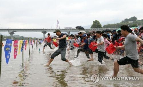 "황금재첩을 잡아라"…알프스하동 섬진강문화 재첩축제 개막