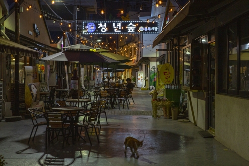 '태양을 피하는 여름야행'…낮보다 아름다운 경기도 밤풍경