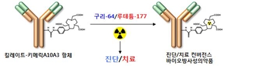 담도암 진단치료용 방사성의약품 개발…"쥐실험에서 효과 확인"