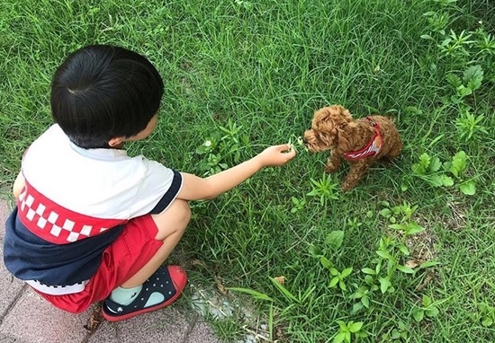 반려동물 등록 시작…"강아지는 필수...고양이는"