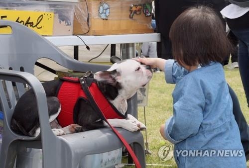 "반려동물과 10분만 놀아도 스트레스 치료 효과" <美 워싱턴 주립대>