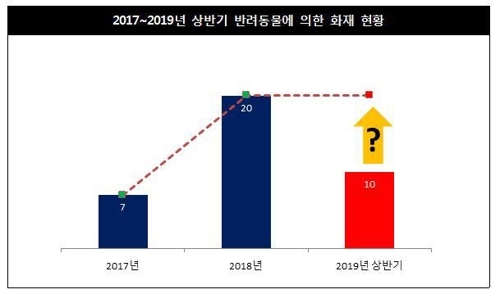 반려동물이 유발한 화재 증가 추세...동물은 숨져