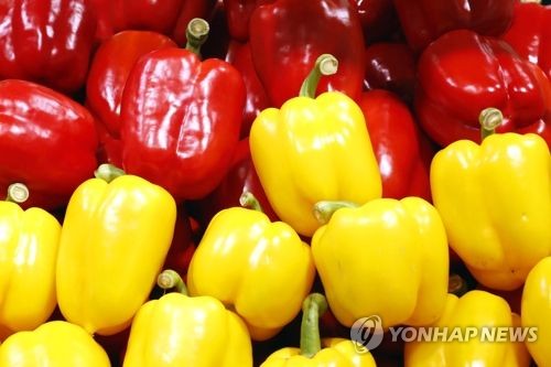 이개호, 日 경제보복에 "구체적 조치 없지만 신선 채소 우려"