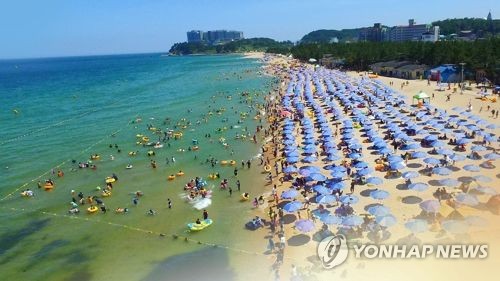 "해수욕장 바가지 꼼짝 마"…내달까지 집중 점검·단속