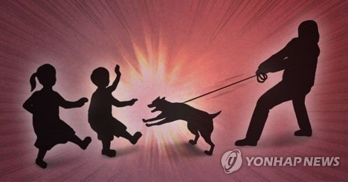 부산서도 폭스테리어가 초등생 2명 물어…견주 검찰 송치