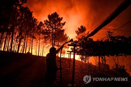 포르투갈 중부서 대규모 산불…"최소 20명 부상"